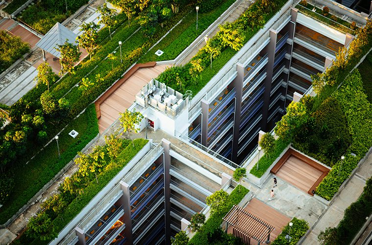 Rooftop Garden