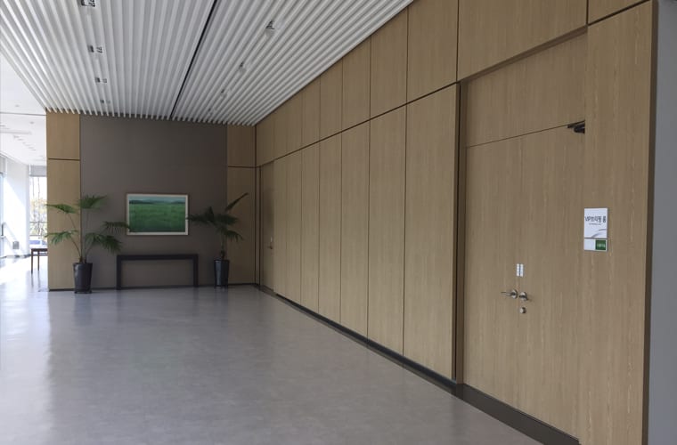 Transformational Film on an Office Wall