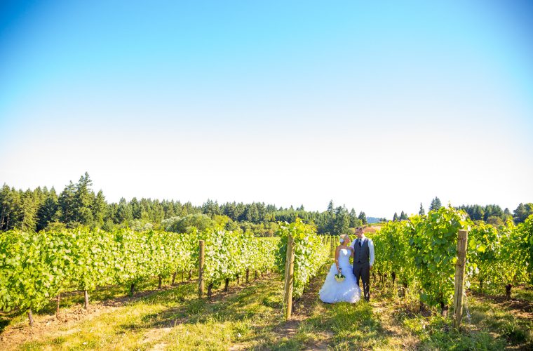 Vineyard Wedding