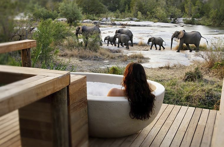 Kenya Hotel with Elephants