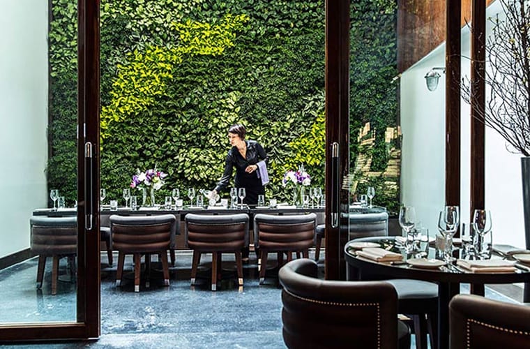 Restaurant Living Wall