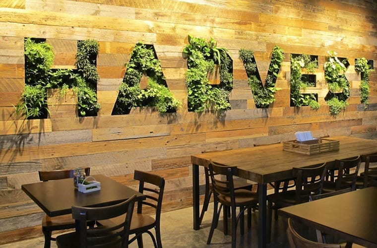 Living Wall Branding