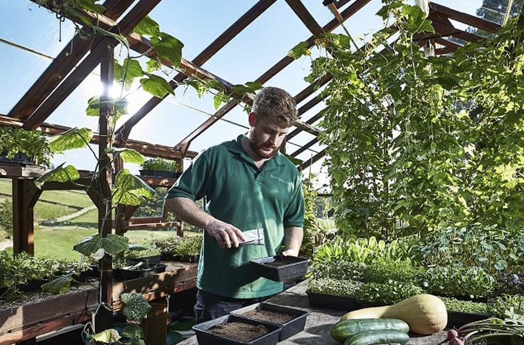 Plant a Kitchen Garden