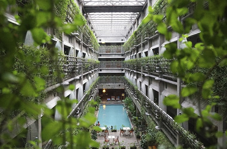 Plant Friendly Hotel Ideas